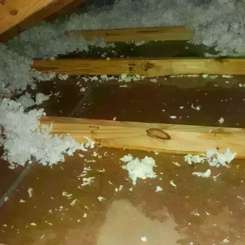 Attic Water Damage in Bayside, WI