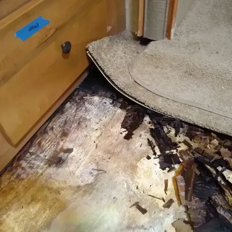 Best Wood Floor Water Damage Service in Bayside, WI